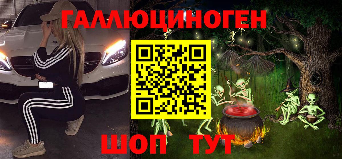 Псилоцибиновые грибы GOLDEN TEACHER  закладки  Алейск  Вход с VPN  Галлюциногенные грибы Cubensis 