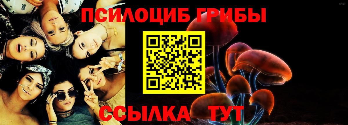 Псилоцибиновые грибы GOLDEN TEACHER Алейск